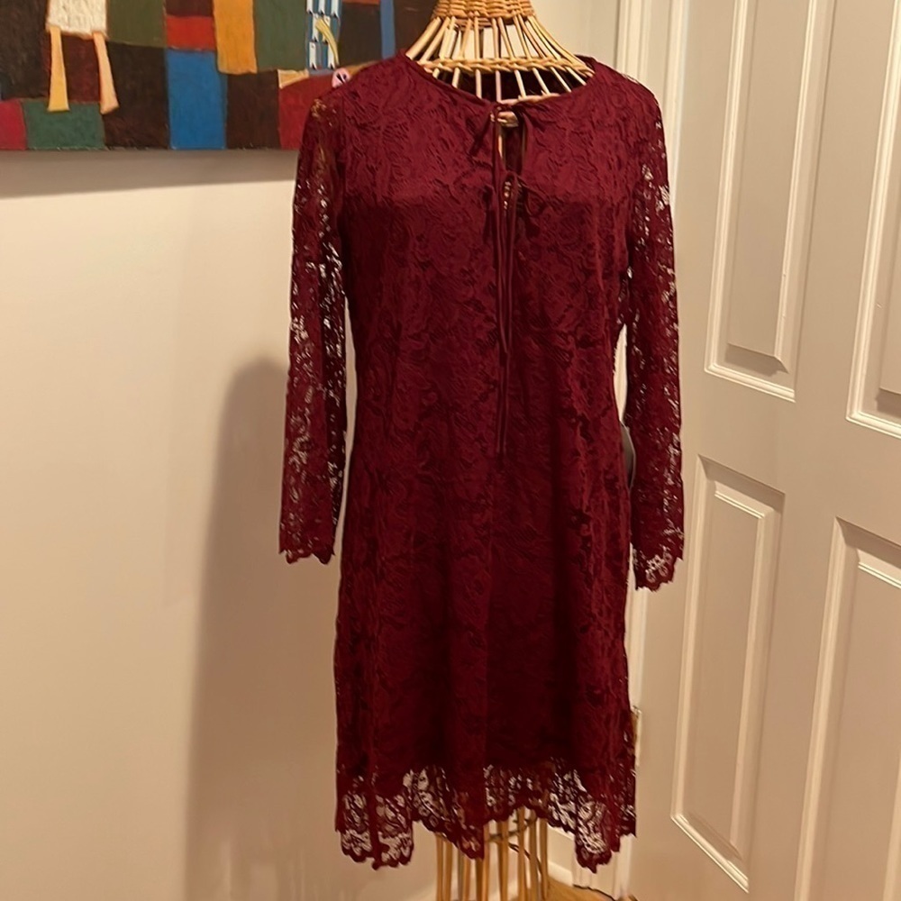 Zara dress. The trafaluc collection NWT